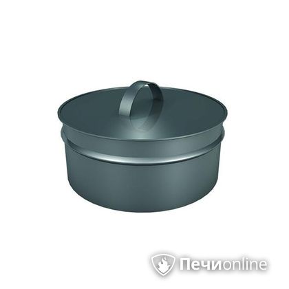 Заглушки Теплов и Сухов Заглушка ревизии Термо-Р 304 0.5 D220(120) в Самаре
